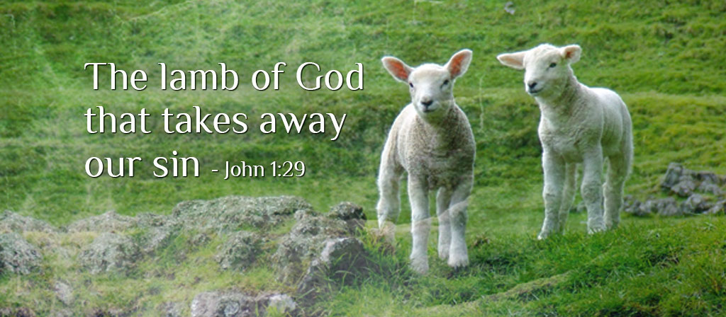 Sundays of Ordinary Time