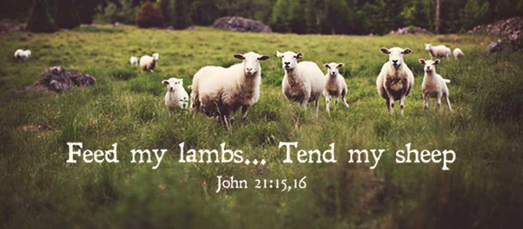 Easter Liturgical Cycle C