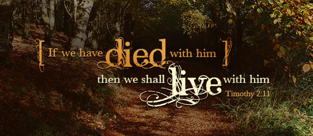 Ordinary Time